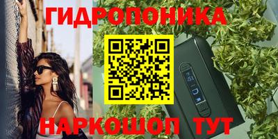 прущие грибы Можга
