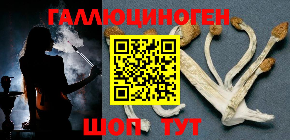Урюпинск  Псилоцибиновые грибы Psilocybine cubensis  Вход с VPN  Псилоцибиновые грибы мухоморы 