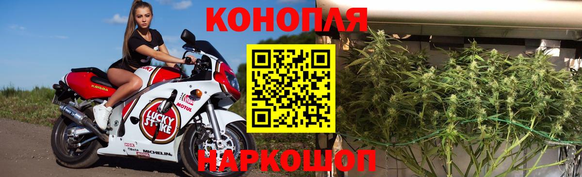 Конопля MAZAR Урюпинск